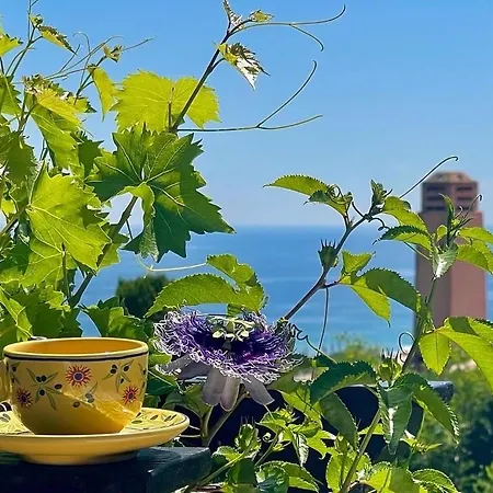 Riviera, Sea View, Pool, Jacuzzi, Sauna, Walk To The * 생트막시메